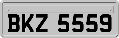 BKZ5559