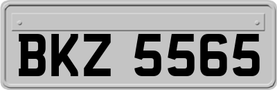 BKZ5565