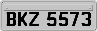 BKZ5573