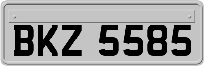 BKZ5585