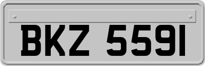 BKZ5591