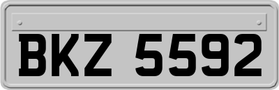 BKZ5592