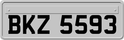 BKZ5593
