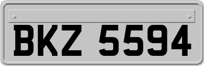 BKZ5594