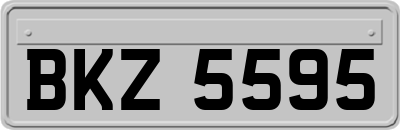 BKZ5595