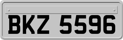 BKZ5596