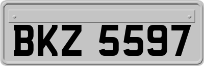 BKZ5597