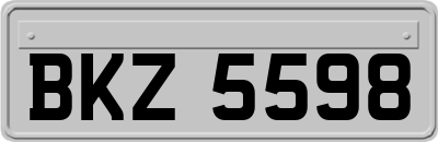 BKZ5598