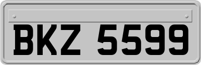 BKZ5599