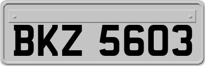 BKZ5603