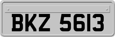 BKZ5613
