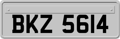 BKZ5614