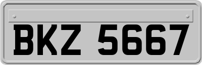BKZ5667