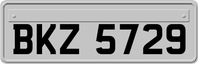 BKZ5729