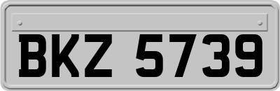 BKZ5739
