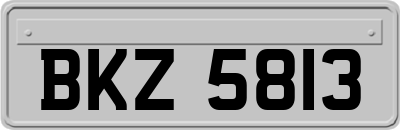BKZ5813
