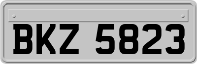 BKZ5823