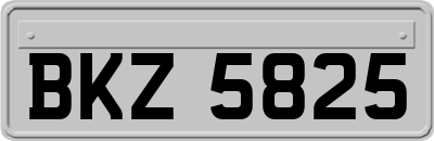 BKZ5825