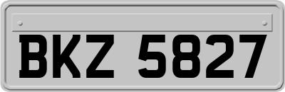 BKZ5827