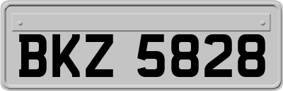 BKZ5828