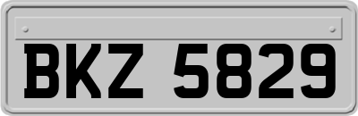 BKZ5829
