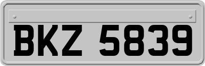 BKZ5839