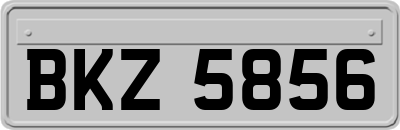 BKZ5856