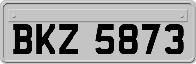 BKZ5873