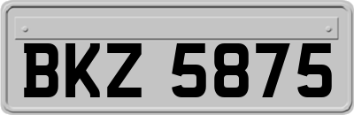 BKZ5875
