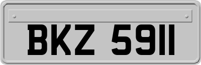 BKZ5911