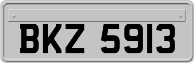 BKZ5913