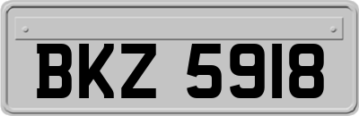 BKZ5918