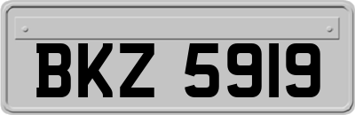 BKZ5919