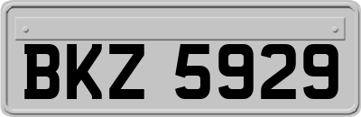 BKZ5929