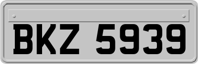 BKZ5939