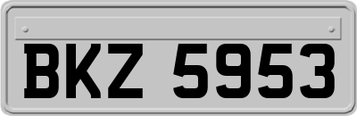 BKZ5953