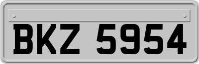 BKZ5954