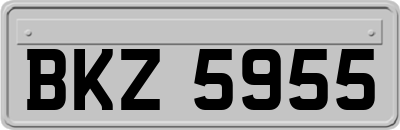 BKZ5955