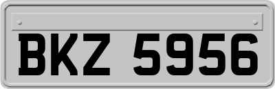 BKZ5956