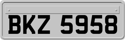 BKZ5958