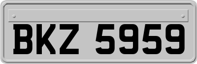 BKZ5959