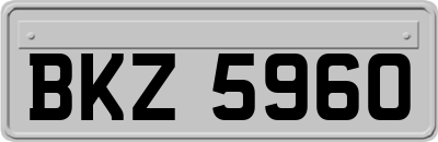 BKZ5960