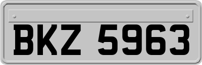 BKZ5963