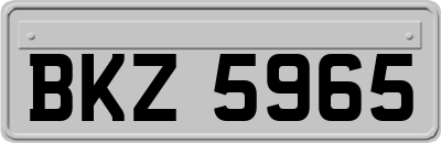 BKZ5965