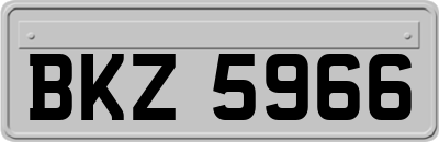 BKZ5966