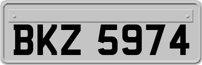 BKZ5974