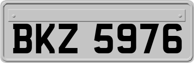 BKZ5976