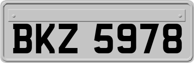 BKZ5978