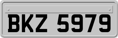 BKZ5979