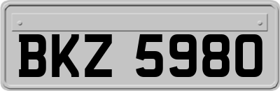 BKZ5980